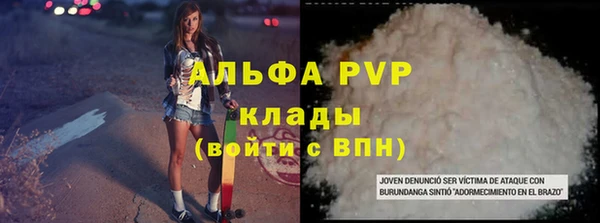 крисы Белокуриха