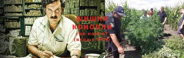 крисы Белокуриха