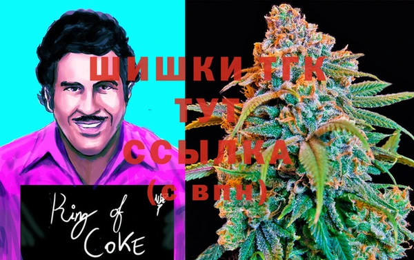 крисы Белокуриха