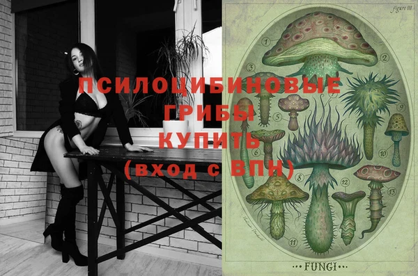 эйфоретик Богородицк