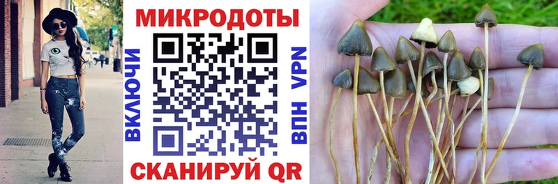 Галлюциногенные грибы мицелий  Болотное 
